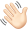 Hand Icon