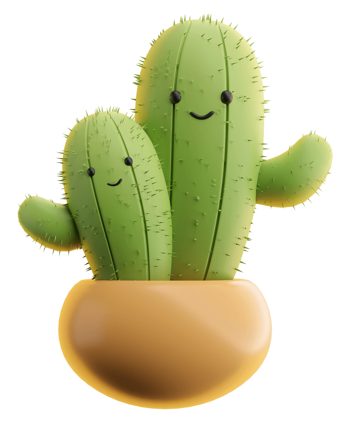 Image of cactus